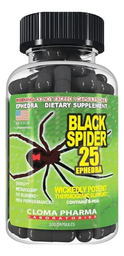 BLACK SPIDER